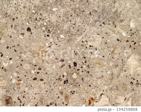 warm speckled terrazzo flooring, polished terrazzo with mixed aggregates and inviting warm hues 134259808