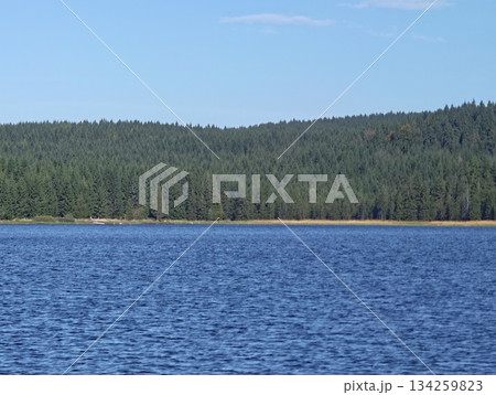 peaceful aquatic scene under sunny sky, calm blue lake vistas with vibrant treeline and gentle waves peaceful aquatic scene under sunny sky, calm blue lake vistas with vibrant treeline and gentle waves 134259823