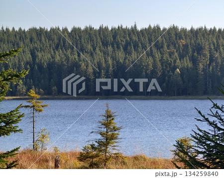 charming lakeside landscape illuminated, tranquil waters mirror evergreen trees and gentle fall charming lakeside landscape illuminated, tranquil waters mirror evergreen trees and gentle fall 134259840