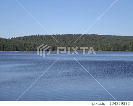 silent and vast lake with distant forest line under bright blue sky creating serene outdoor retreat silent and vast lake with distant forest line under bright blue sky creating serene outdoor retreat 134259856