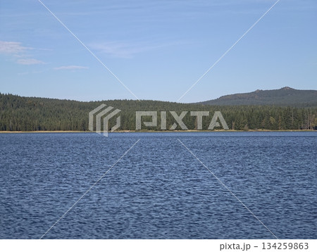 tranquil open water under clear sky, serene lakeside scene with gentle ripples and distant forest 134259863