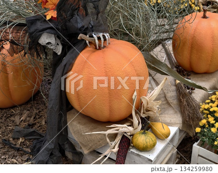 halloween props with natural elements, autumnthemed witch prop surrounded by dried plants 134259980