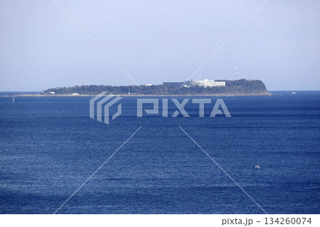 2021年11月伊豆初島 134260074