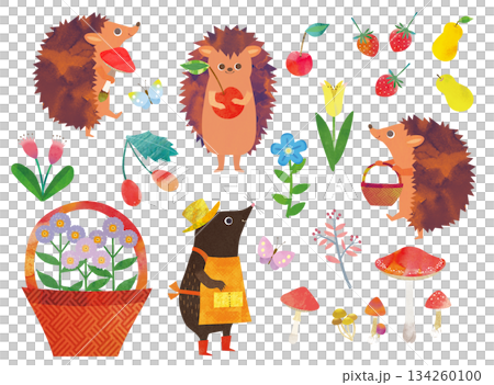 動物と植物のカットイラスト 134260100