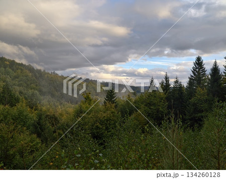 scenic outdoor panorama, majestic valley scene with forested slopes and sky effects for art 134260128