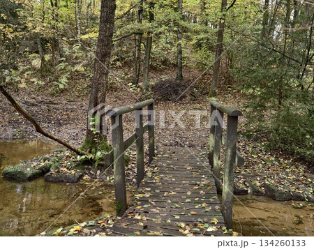 charming rustic riverside, serene footbridge over gentle streams, quaint wooden path beside tranquil 134260133