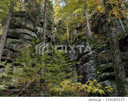 majestic cliffs with lush moss layers, serene forested valley featuring towering rocks and vibrant majestic cliffs with lush moss layers, serene forested valley featuring towering rocks and vibrant 134260157