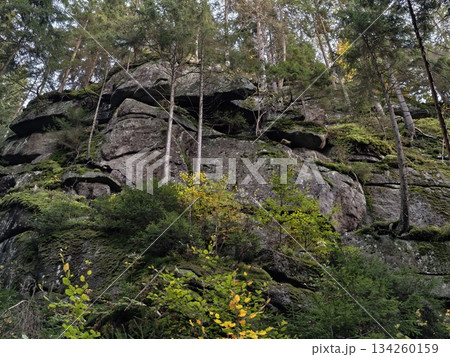 an excellent natural setting for conducting comprehensive geological and ecological investigations an excellent natural setting for conducting comprehensive geological and ecological investigations 134260159