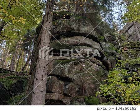 protected narrow valley harboring diverse plant species and tranquil wildlife viewing spots 134260162