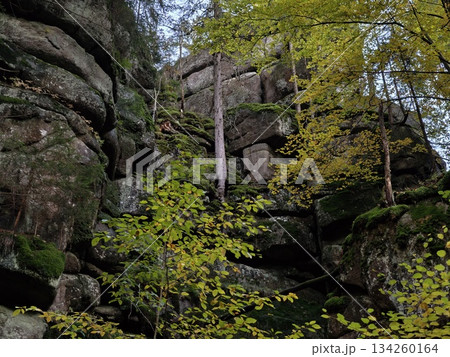 majestic cliff scene, grandeur of rugged stone formations under colorful autumn leaves with fissures majestic cliff scene, grandeur of rugged stone formations under colorful autumn leaves with fissures 134260164