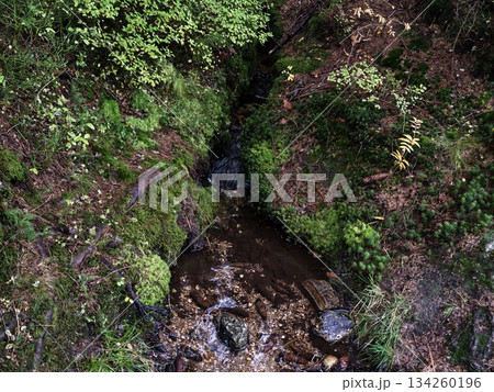 tranquil trail through lush surroundings, peaceful journey along mossy stream and rocky path 134260196