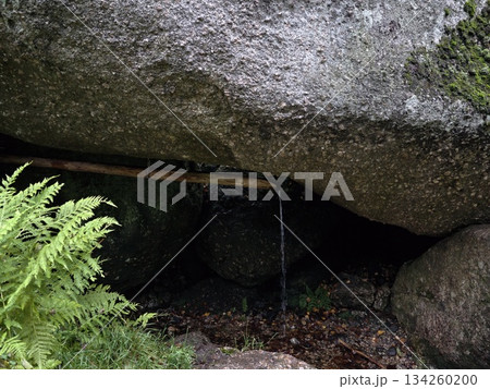natural tranquil spring, calm forest spring featuring mosscovered basin and filtered sunlight natural tranquil spring, calm forest spring featuring mosscovered basin and filtered sunlight 134260200