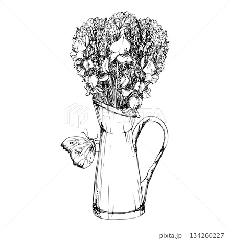 Miix bouquet of lavender and spartium Spanish broom in vintage metal jug with clouded yellow butterfly. Isolated illustration hand drawn in vector ink. Floral packaging, wedding favors, farmers market Miix bouquet of lavender and spartium Spanish broom in vintage metal jug with clouded yellow butterfly. Isolated illustration hand drawn in vector ink. Floral packaging, wedding favors, farmers market 134260227