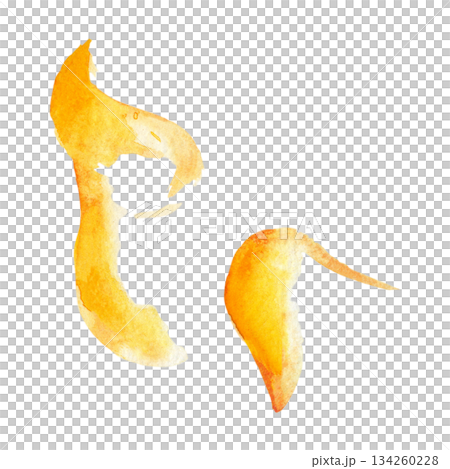 Smooth orange curving shapes, citrus zest peel or sunlight rays with blended gradient and light texture. Isolated watercolor illustration. Editorial design, fashion graphics, food or drink packaging Smooth orange curving shapes, citrus zest peel or sunlight rays with blended gradient and light texture. Isolated watercolor illustration. Editorial design, fashion graphics, food or drink packaging 134260228