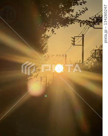 朝日に照らされた線路 134260247