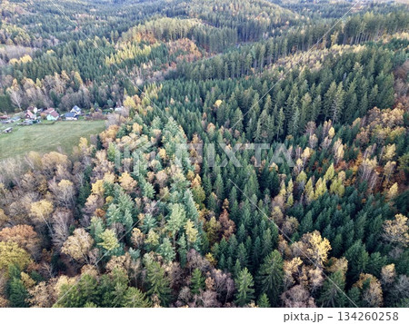 forest mosaic overview, highaltitude image showcasing diverse forest colors and rural surroundings 134260258