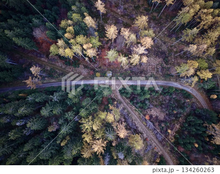 forest trail view, overhead imagery capturing diverse forest trail junctions with colorful seasonal scenery forest trail view, overhead imagery capturing diverse forest trail junctions with colorful seasonal scenery 134260263
