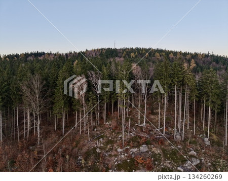 wild terrain with resilient vegetation, challenging landscape featuring hardy plant life and rocky formations 134260269