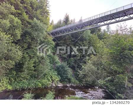 forest gorge with walkway view, suspension pathway spanning dense forest and flowing river below forest gorge with walkway view, suspension pathway spanning dense forest and flowing river below 134260270