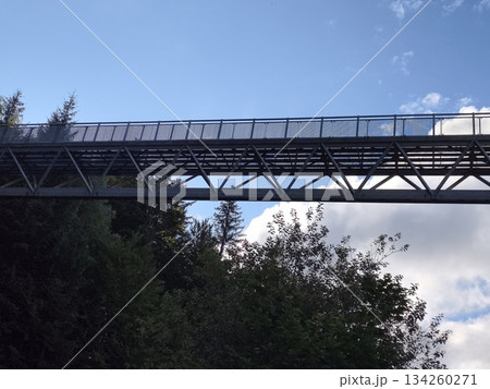 structural inspection scene with textured beams, exposed rivets and shadows on bridge under open sky 134260271