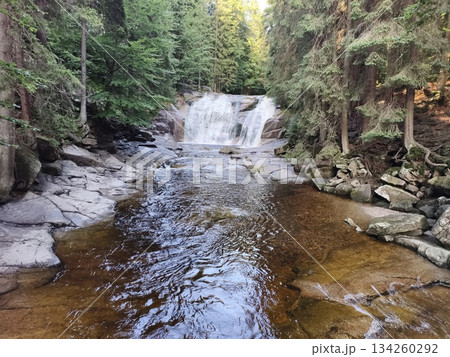 stream habitat preservation, rangers monitor natural habitat alongside flowing stream with rocks 134260292