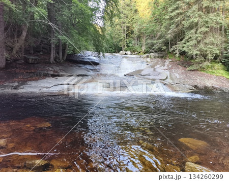 serene forest brook with fall reflections, peaceful woodland creek with amber hues and dappled shadows serene forest brook with fall reflections, peaceful woodland creek with amber hues and dappled shadows 134260299
