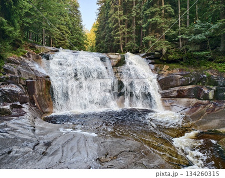 peaceful waterfall meets lush forest, silent water flows through hidden rocky valley surrounded by trees 134260315