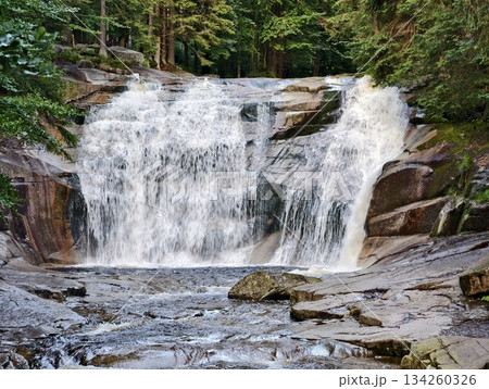 peaceful waterfall amidst lush woods, tranquil mountain stream flowing over rocks surrounded by trees 134260326