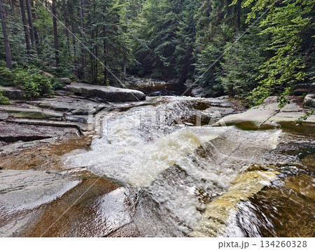 serene woodland setting for reflection, tranquil park with rocky outcroppings and leafy canopy serene woodland setting for reflection, tranquil park with rocky outcroppings and leafy canopy 134260328