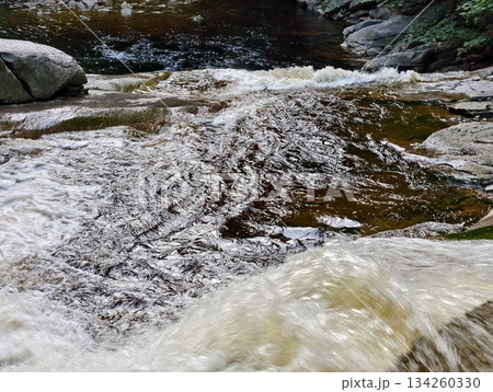 charming rural retreat, serene countryside residence embraced by towering trees and flowering plants charming rural retreat, serene countryside residence embraced by towering trees and flowering plants 134260330