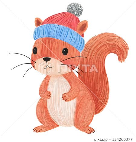 リスがニット帽をかぶっているイラスト 134260377