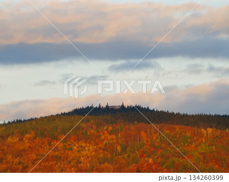 golden forest scenery, autumn landscape with serene views, sundappled hilltops and vibrant foliage panorama golden forest scenery, autumn landscape with serene views, sundappled hilltops and vibrant foliage panorama 134260399