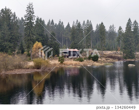serene lakeside retreat, relaxing cabin nestled by water with rustling reeds and calming atmosphere 134260449