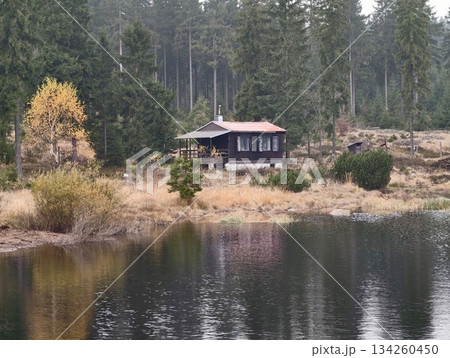 serene forest cabin getaway, remote rural lodge surrounded by towering pine and birch trees 134260450