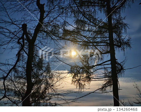 please provide specific text to transform, cannot generate variations without original text content please provide specific text to transform, cannot generate variations without original text content 134260468