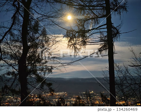 night scene serenity, tranquil forest under moonlight with distant city illumination and gentle fog in basin 134260469