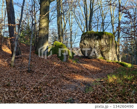 golden glow on rocky path, golden sunlight brightly highlights jagged woodland path amidst sunset glow golden glow on rocky path, golden sunlight brightly highlights jagged woodland path amidst sunset glow 134260490