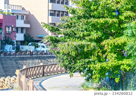 田川サイクリングロード 田川サイクリングロード 134260812