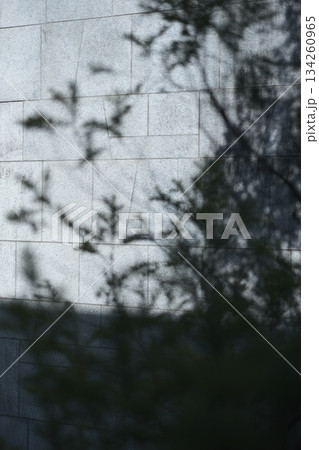 樂陽② 134260965