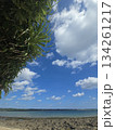 石垣島冬の晴れ間　沖縄の冬もちゃんと寒いのです 134261217
