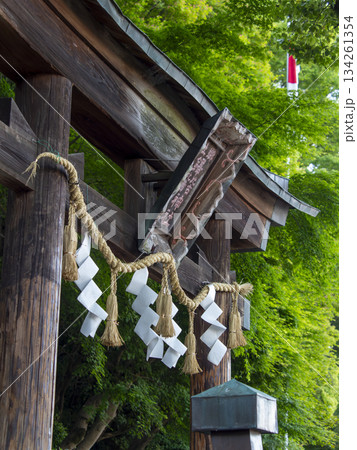 神社の鳥居と青紅葉 神社の鳥居と青紅葉 134261354