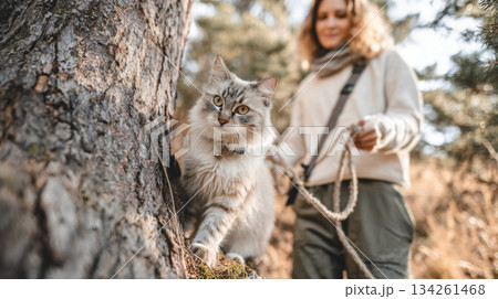 Cat climbing a tree trunk with its owner holding a leash, surrounded by natural textures and warm sunlight, capturing a joyful outdoor moment 134261468