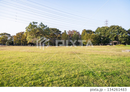 今泉中央公園 今泉中央公園 134261483