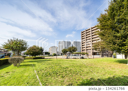 さざなみ公園 134261766