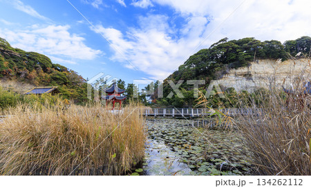 本牧市民公園の秋 134262112