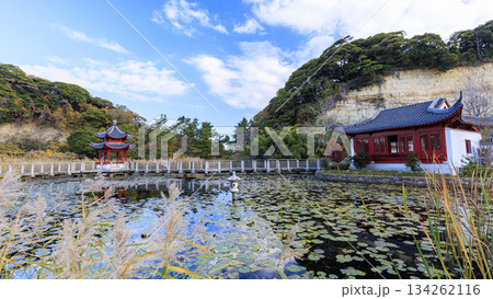 本牧市民公園の秋 134262116