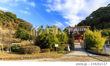 本牧市民公園の秋 本牧市民公園の秋 134262117