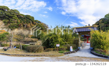 本牧市民公園の秋 134262119