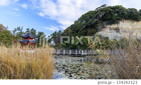 本牧市民公園の秋 134262121