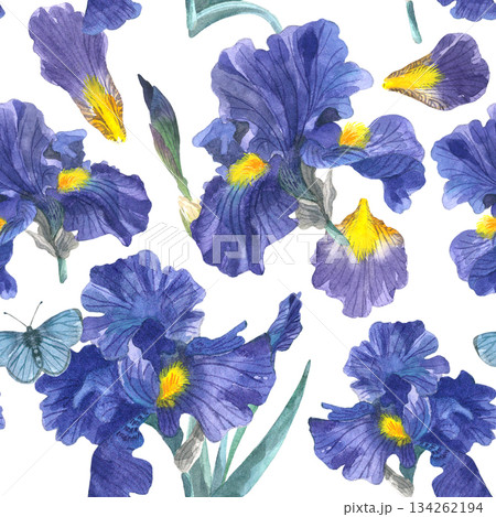Seamless floral pattern with iris flowers, petals, buds, and butterflies on a white background. Hand-drawn in watercolor. Suitable for printing on fabric and paper. Seamless floral pattern with iris flowers, petals, buds, and butterflies on a white background. Hand-drawn in watercolor. Suitable for printing on fabric and paper. 134262194